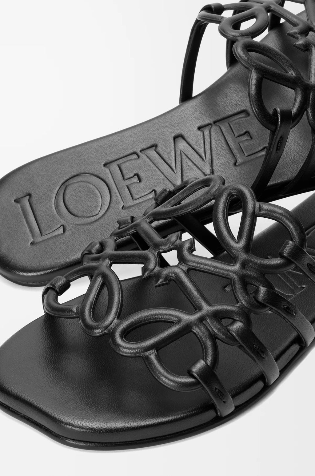 Loewe Flat Slipper