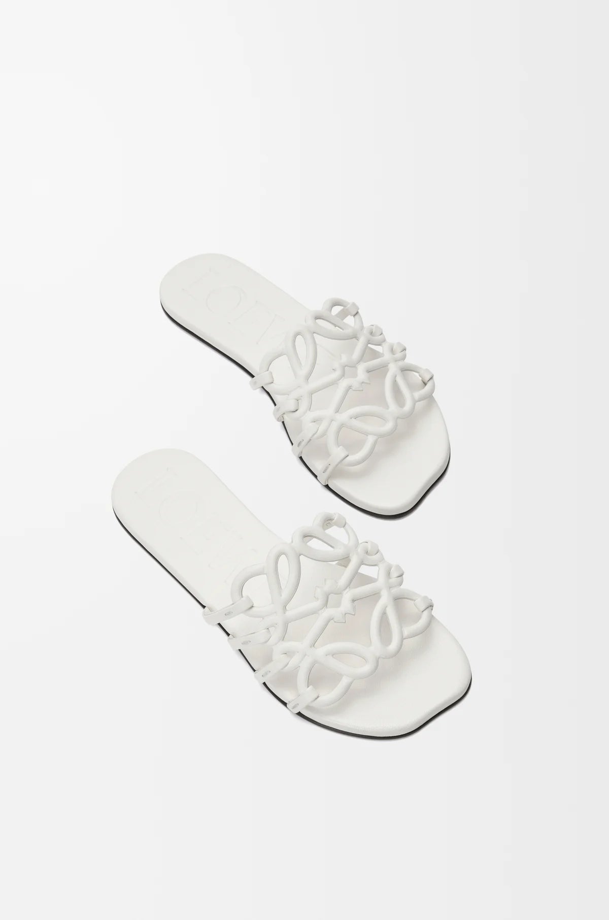 Loewe Flat Slipper