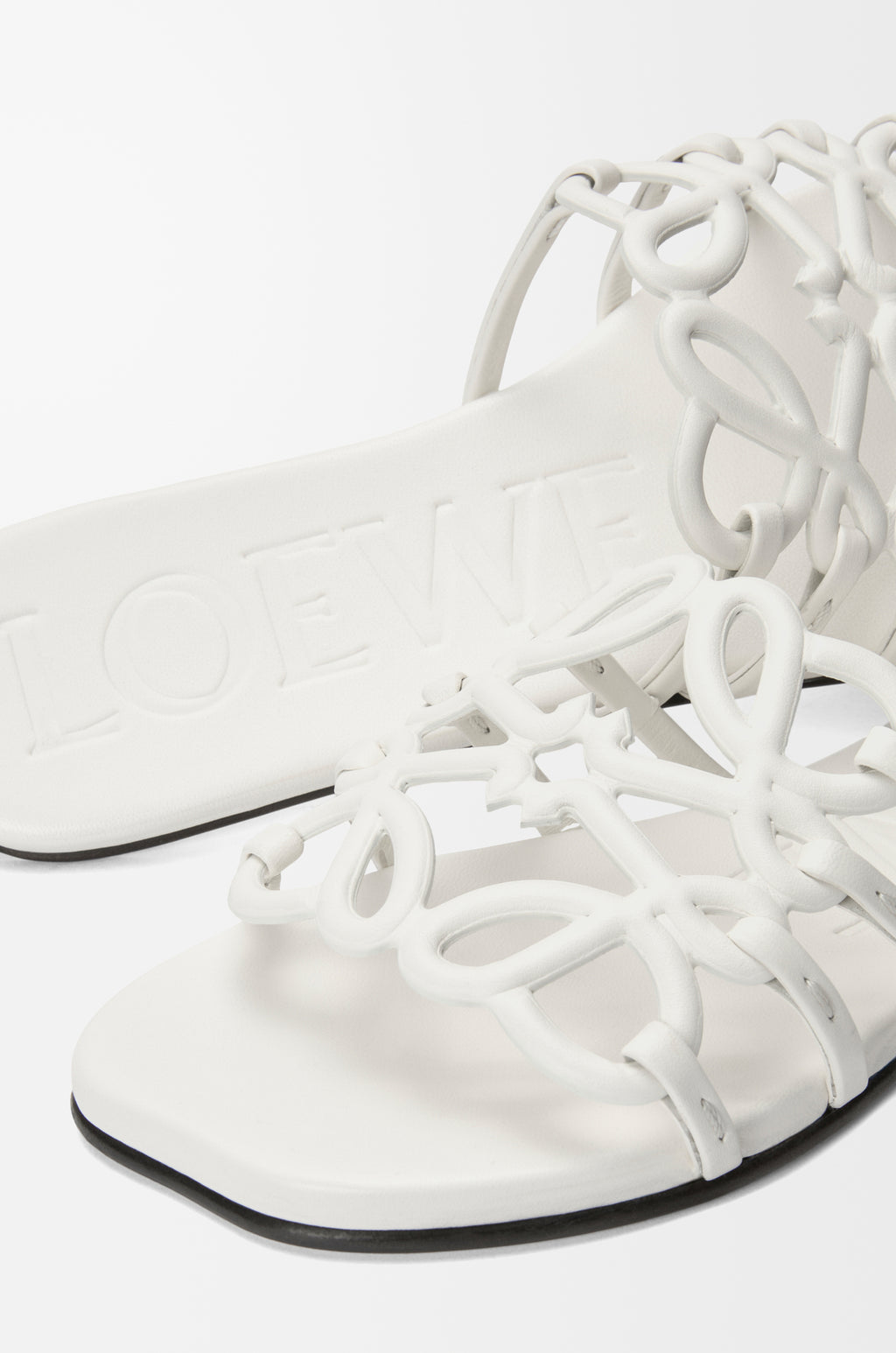 Loewe Flat Slipper