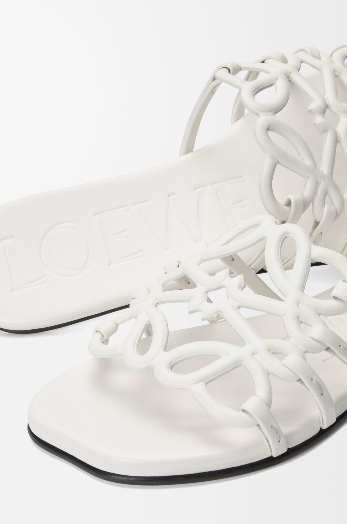 Loewe Flat Slipper